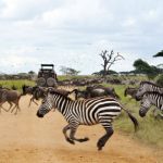 Arusha-National-Park-620x400-1