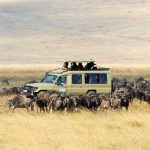 Serengeti-National-Park-2