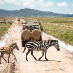 Serengeti-National-Park-Tanzania