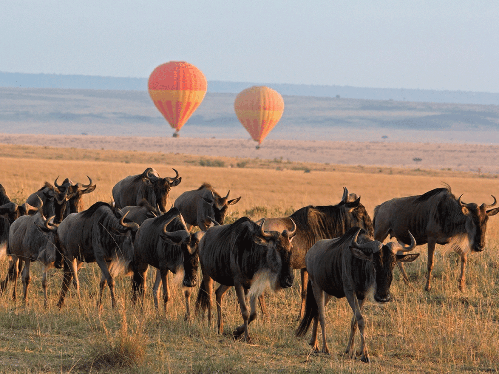 Serengeti-national-park-air-balloons