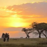 bush-walk-serengeti-national-park