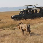 masai-mara-safari