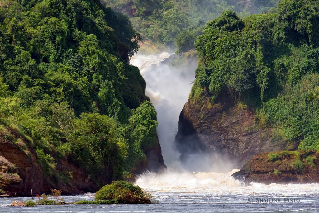 murchison falls in the pearl of africa