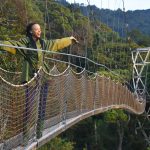 nyungwe01