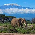 tanzania-mount-kilimanjaro