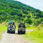 wildlife-Rwanda-Akagera-national-park