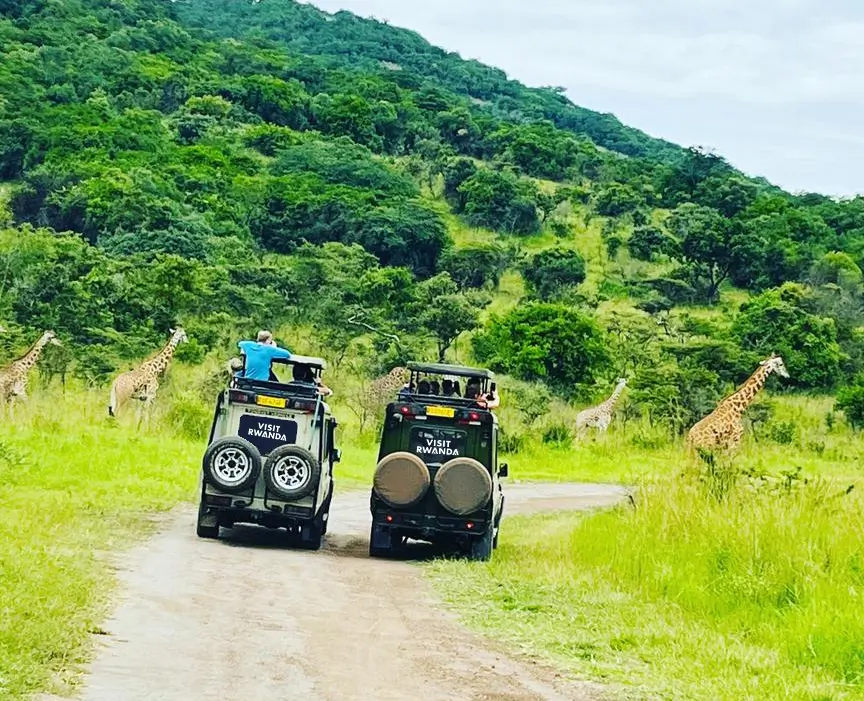 wildlife-Rwanda-Akagera-national-park