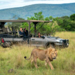 Blog-Rwanda-Why-Go-images-Drive-Safari-magashi