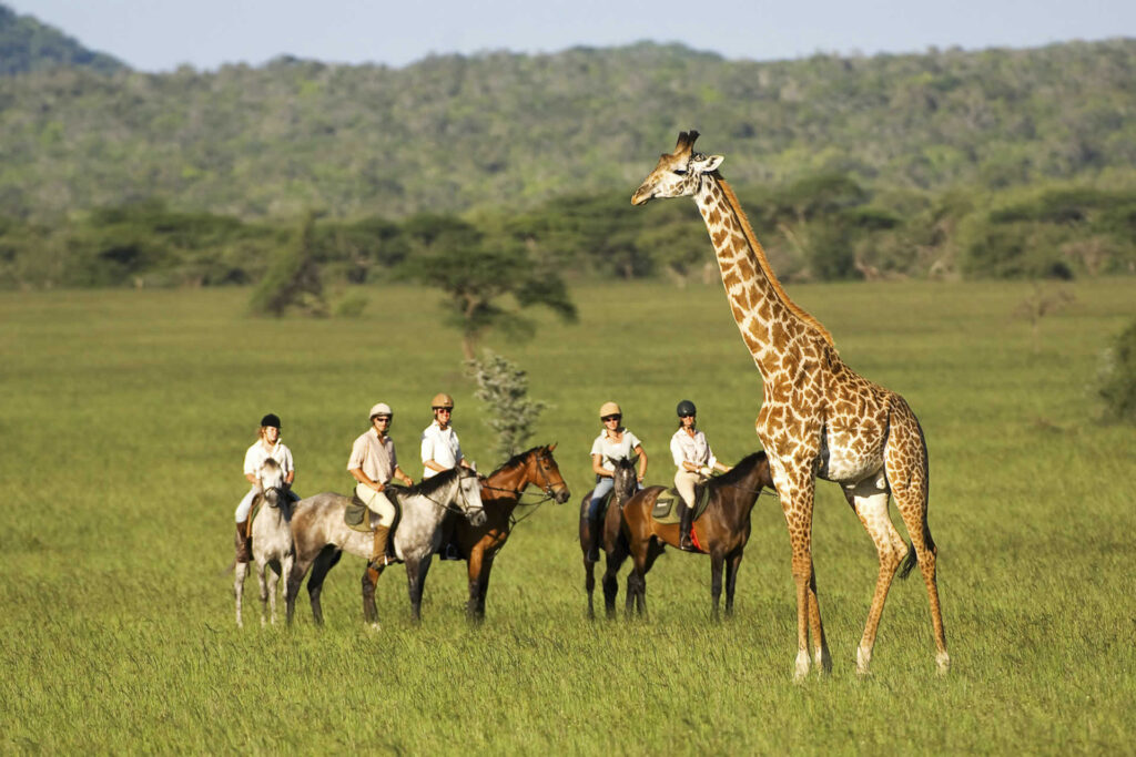 Lake Mburo National Park