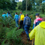 Guided nature walks and hiking in Queen Elizabeth national park