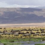 3-Days-Wildlife-Tanzania-adventure-safari-Ngorongoro-crater-and-Lake-Manyara-national-park