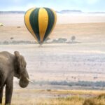 89378_maasai_mara_national_reserve_1_1-5