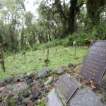 Dian-Fossey-Grave-Hiking-scaled