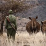 Lewa-Safari-Camp-