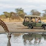 Lake Manyara national park