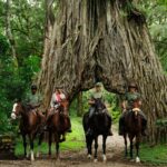 Pferdesafari-Fig-Tree-Arusha-1200x800-1