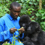 Top things to do in Virunga national park