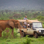 elephant_bedroom_camp_-_samburu_45_-1