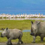 4 Days Maasai Mara Wildebeest Migration Safari
