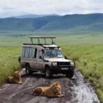 ngorongoro