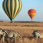 tanzania-balloon-safari-fig-1