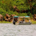 Kazinga Channel Boat Cruise An Unforgettable Wildlife Experience in Uganda