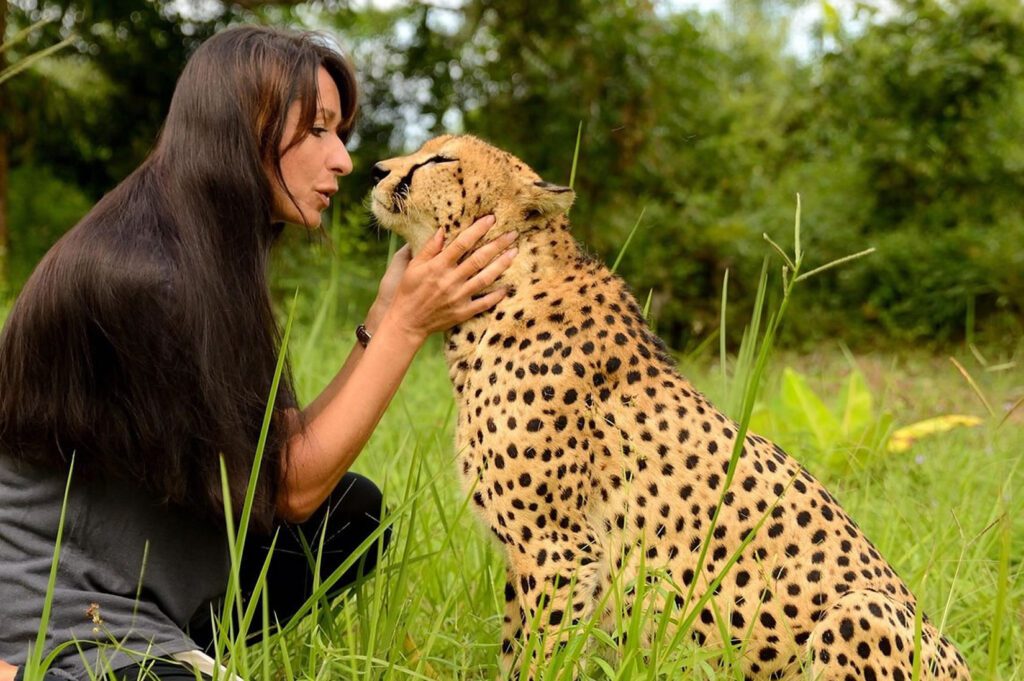 Cheetah’s Rock 2 cheetah rock zanzibar