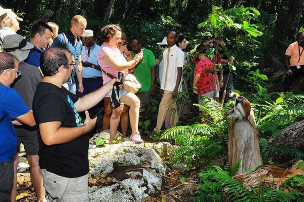 jozani forest zanzibar