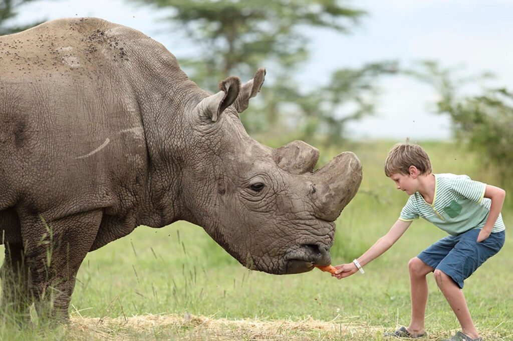 ol pejeta kenya
