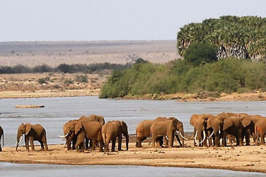 tsavo west national park kenya
