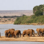 tsavo west