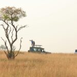 Guided safari vehicle experience in Uganda