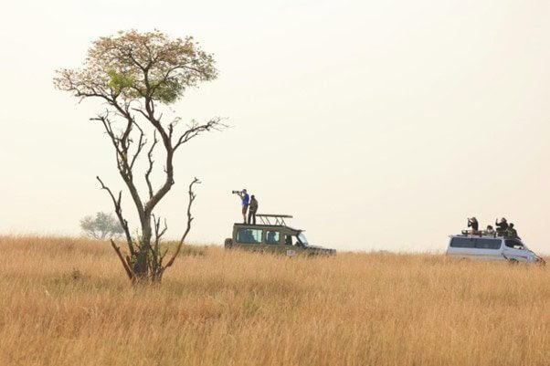 Tourists enjoying wildlife viewing