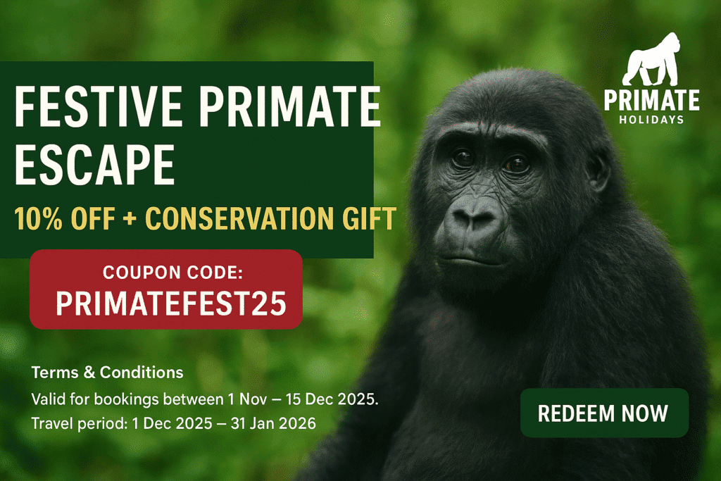 Giant gorilla in lush rainforest, promoting primate holidays and wildlife conservation tours.