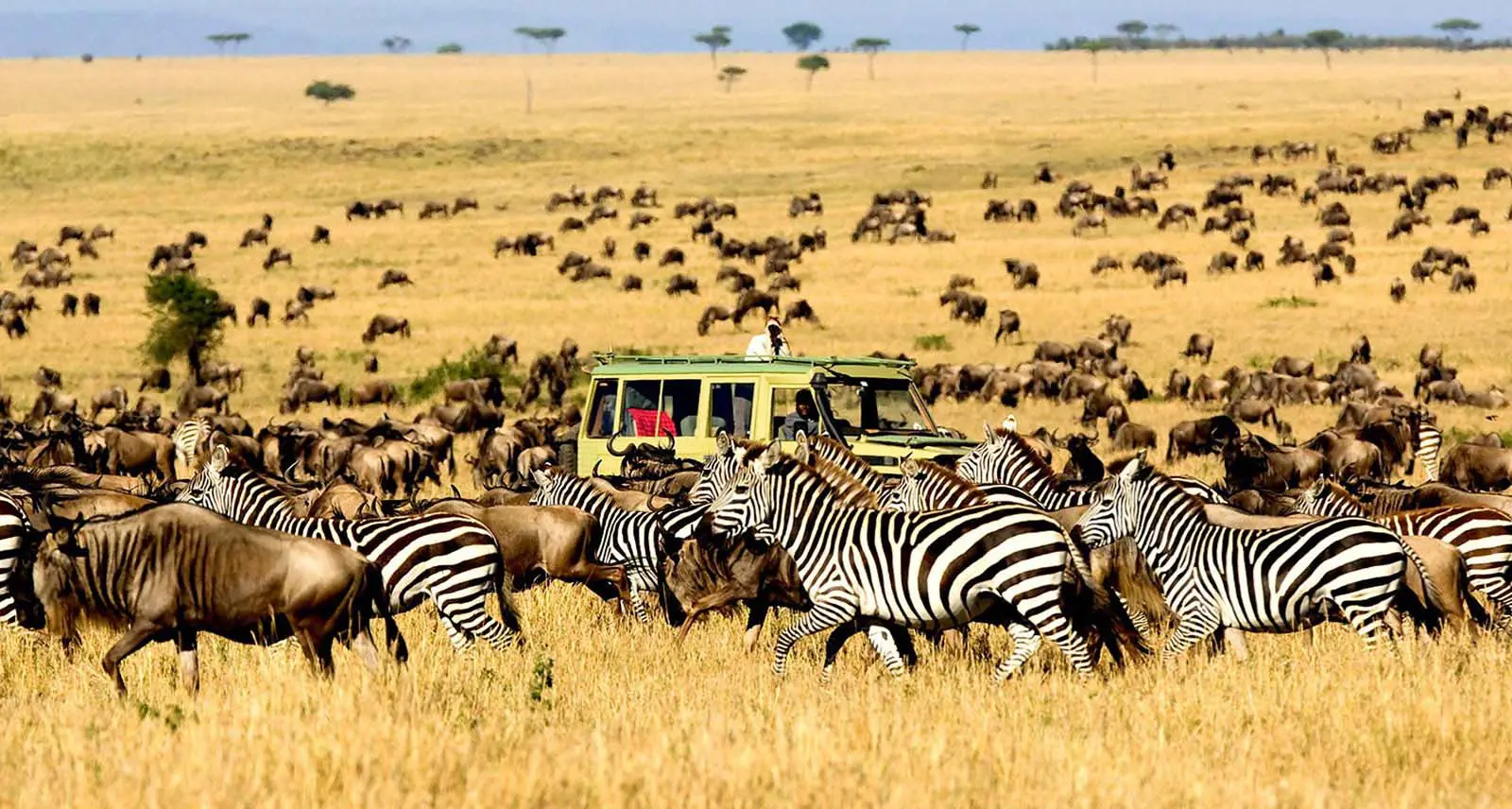 Serengeti National Park 3 Southern Serengeti (Ndutu & Plains)