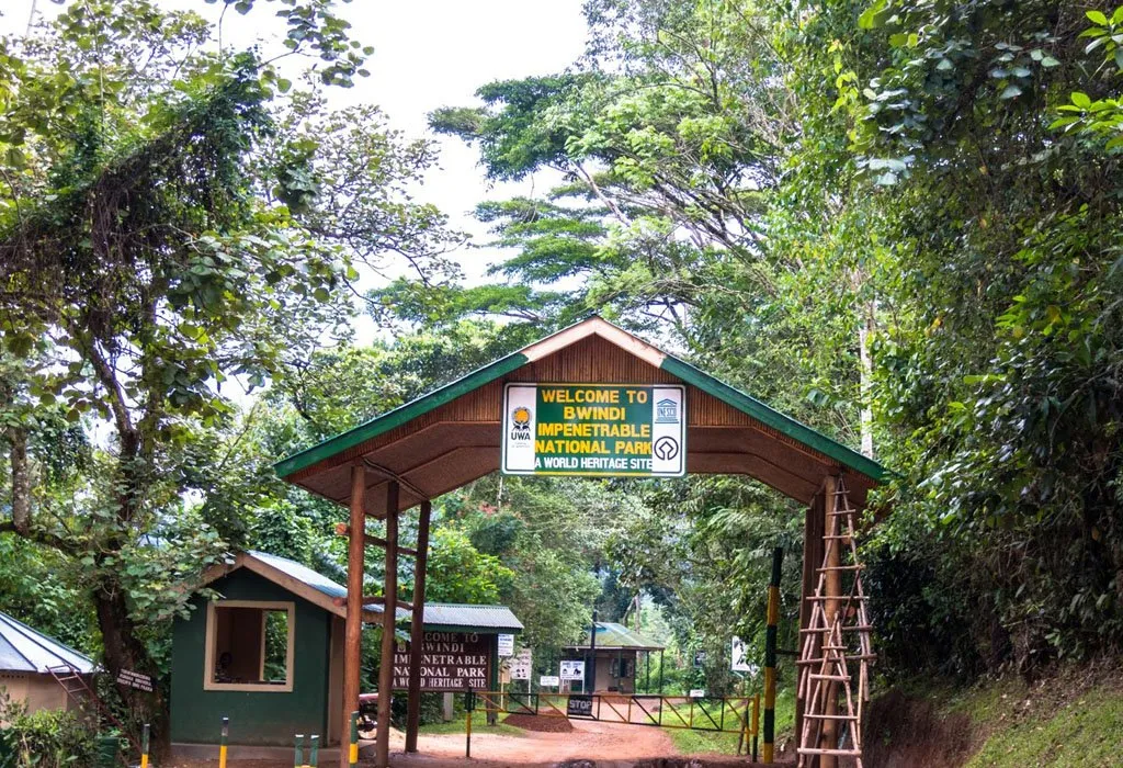 Uganda Wildlife Authority Announces Free Entry to All National Parks from September 25-27, 2026 2 Bwindi_Gorilla_Trek_Uganda