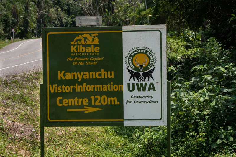 Uganda Wildlife Authority Announces Free Entry to All National Parks from September 25-27, 2026 5 Kibale national park - Kanyanchu